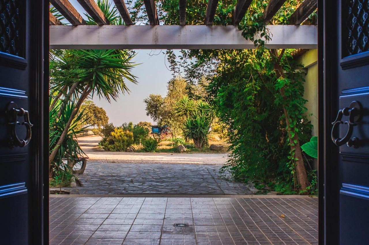 Гостьовий будинок Monte Do Colmeal - Country House & Wine Моран Екстер'єр фото